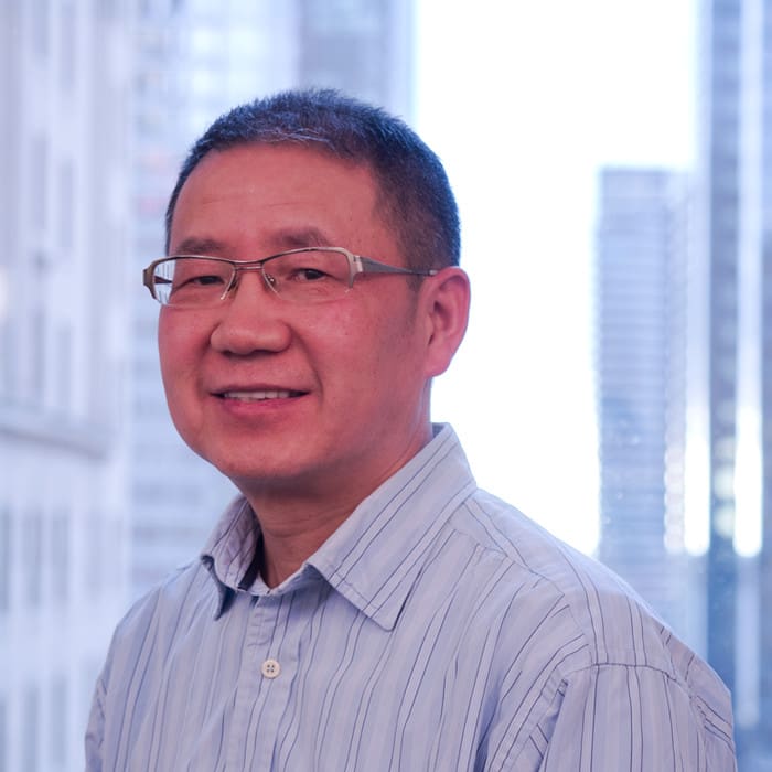 Wei Dai Wei Dai